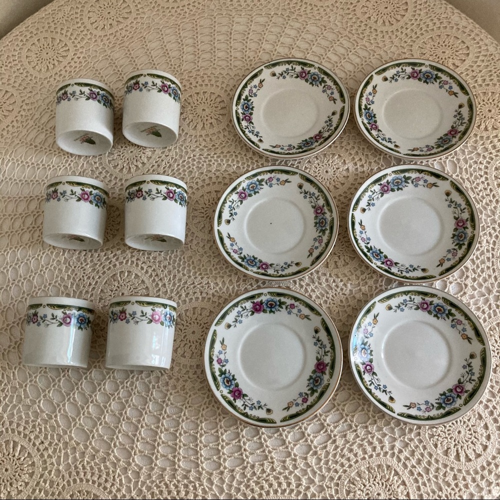 12 piece Expresso Cup & Saucer Set Botanical Floral Pattern